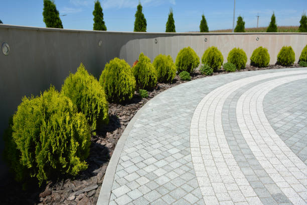 Best Local Driveway Pavers  in USA